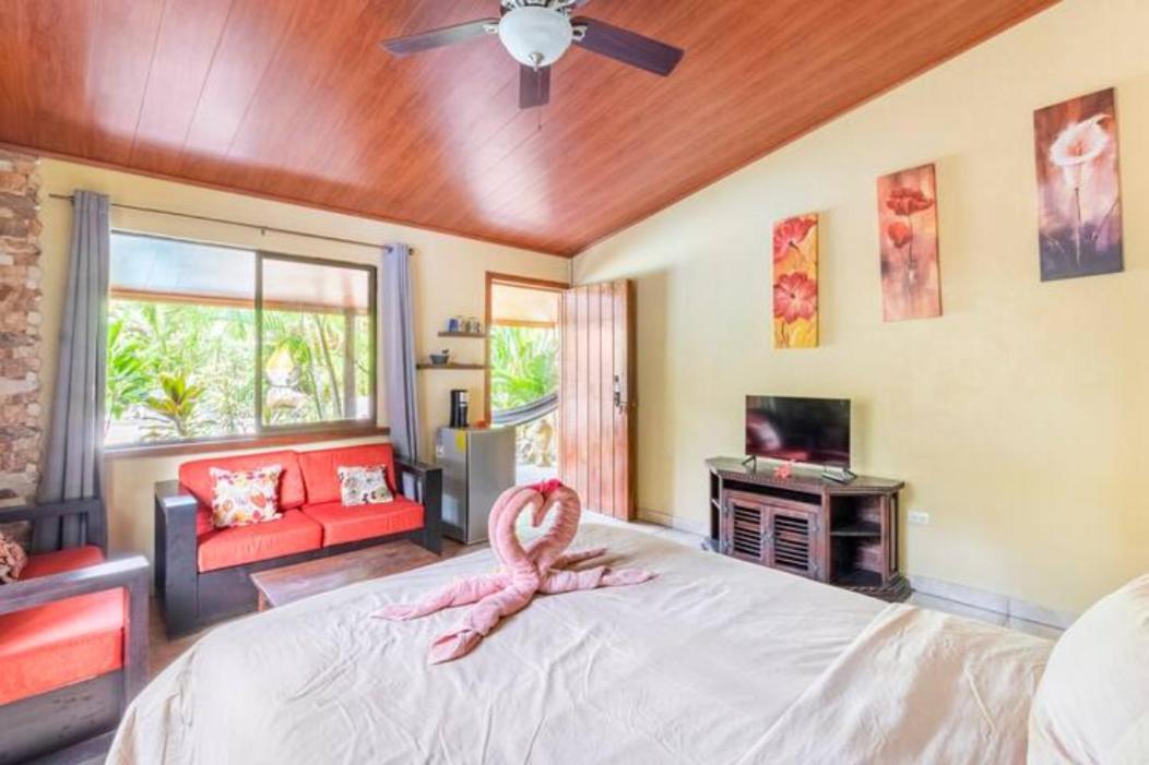 Casa Caribbean Coconut 호텔 까위따 외부 사진