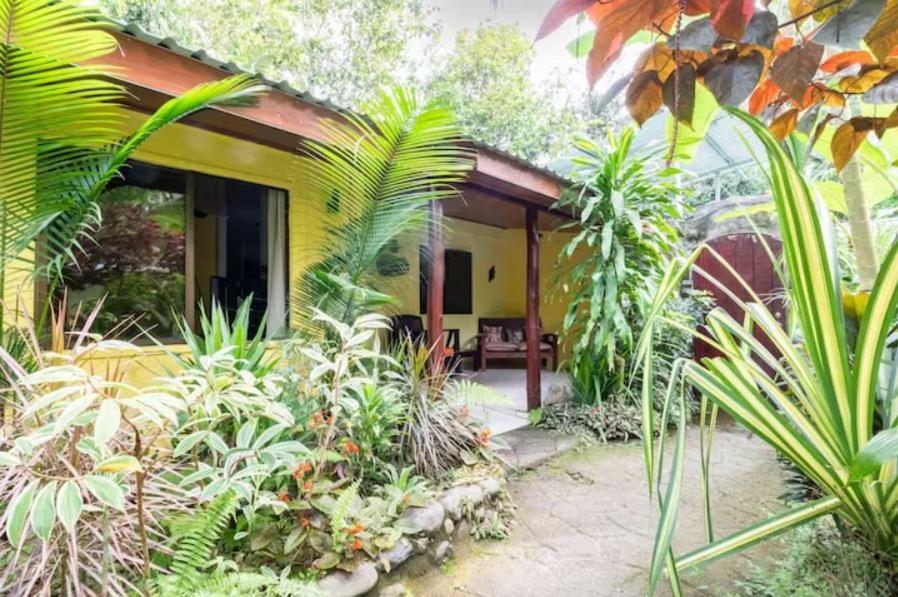 Casa Caribbean Coconut 호텔 까위따 외부 사진