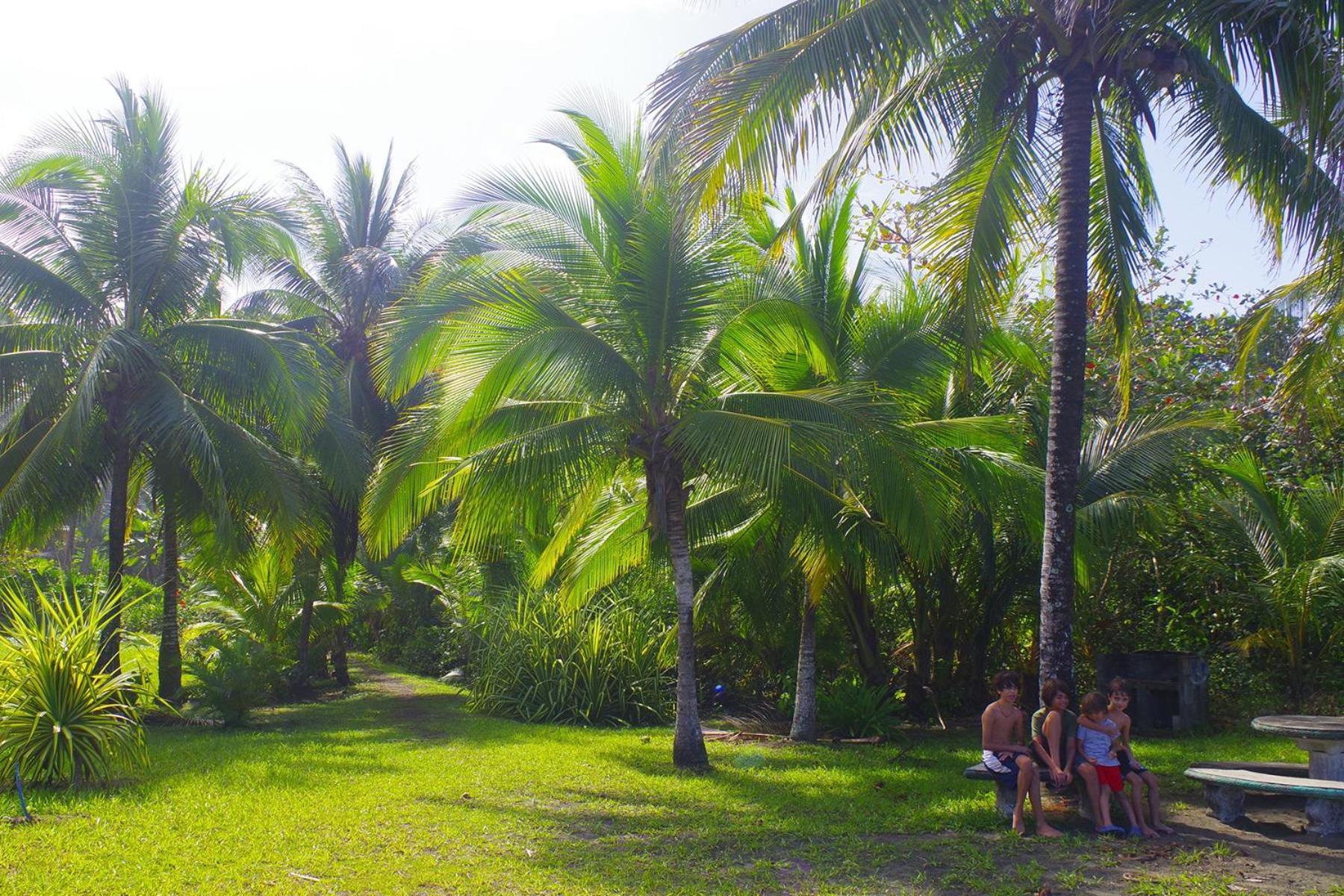 Casa Caribbean Coconut 호텔 까위따 외부 사진